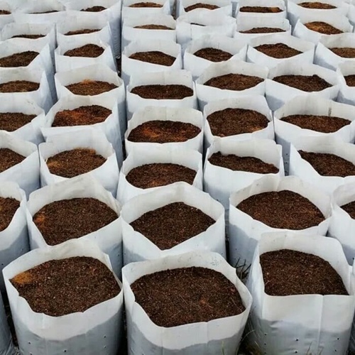 

POLYBAG POLIBEK 20 CM1/2 kg PUTIH / POLIBAG BESAR UKURAN 20 UNTUK BIBIT SAYUR BUAH KUALITAS BAGUS