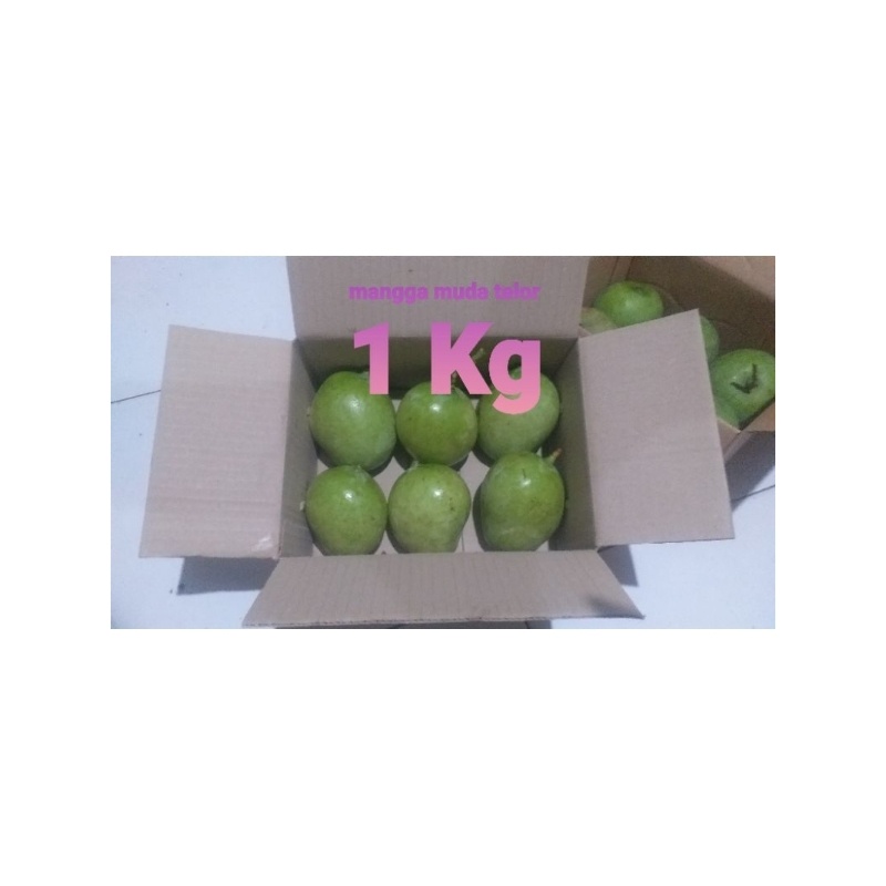

mangga muda telor 1 kg/mangga muda kapur 1 kg