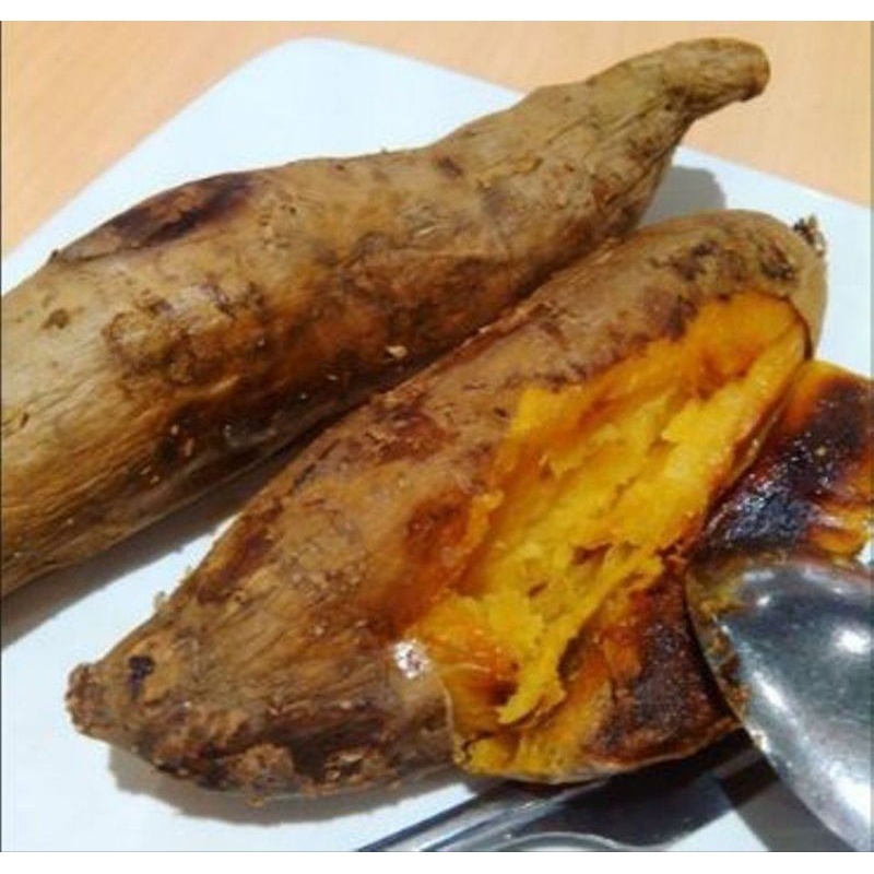 

PAKET MURAH !!! - UBI CILEMBU MENTAH 5 KG AB / TO