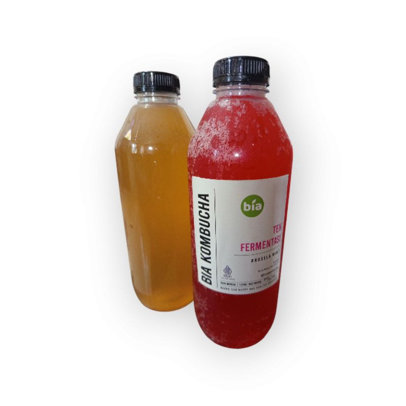 

Bia Kombucha 1 liter botol plastik untuk perjalanan jauh atau keperluan khusus