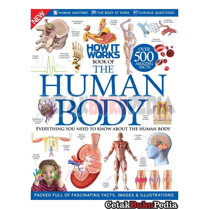 Engbook How It Works Book Of Human Body - Printwarna Softcover