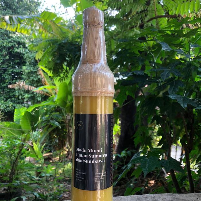 

Madu Asli Kaliandra Nektar Bunga Honey Alami Promo