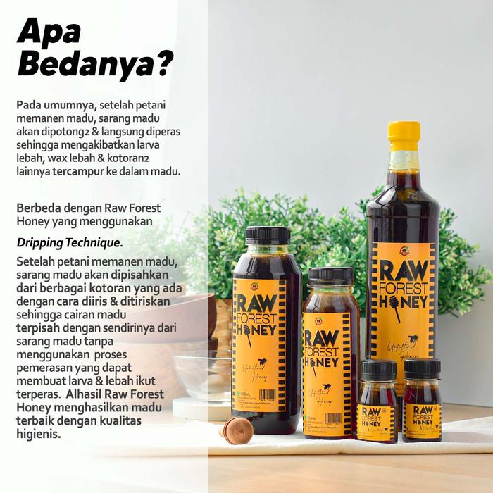 

BARANG TERLARIS House Of Organix Raw Forest Honey 500 Ml madu murni