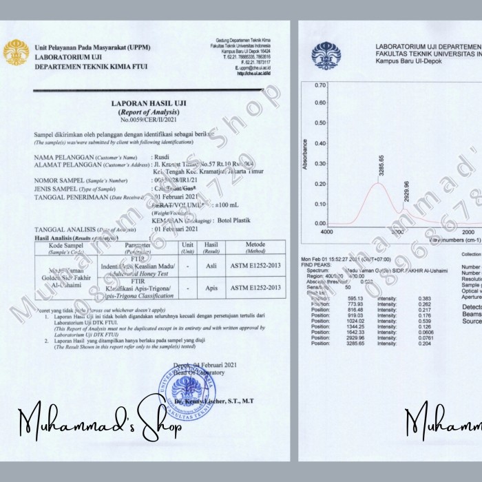 

BARANG TERLARIS Madu Yaman Golden Sidr Fakhir Al-Ushaimi Lebah Liar Asli & Murni 100gr