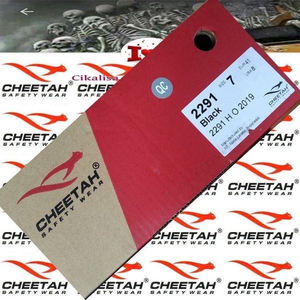 Cheetah 2291H Tip in the Iron shoes ( Safety wear )