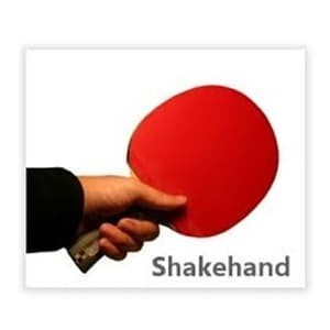 Yasaka Extra Special Original JTTA bat tenis meja Pingpong Made in Sweden