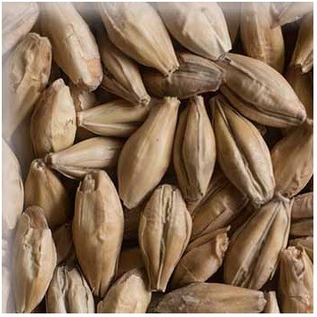 

Malt Chteau Pilsen 2RS 3.0-4.0 EBC