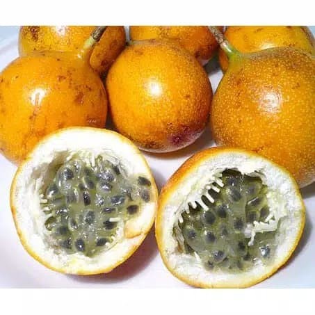 

HJK BUAH MARKISA MANIS