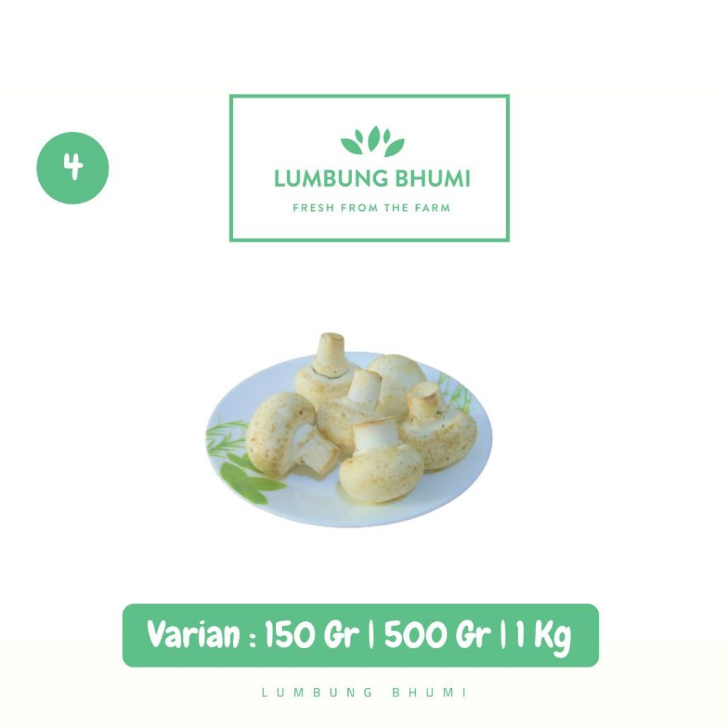 

Jamur Kancing Champignon Sayur - Lumbung Bhumi