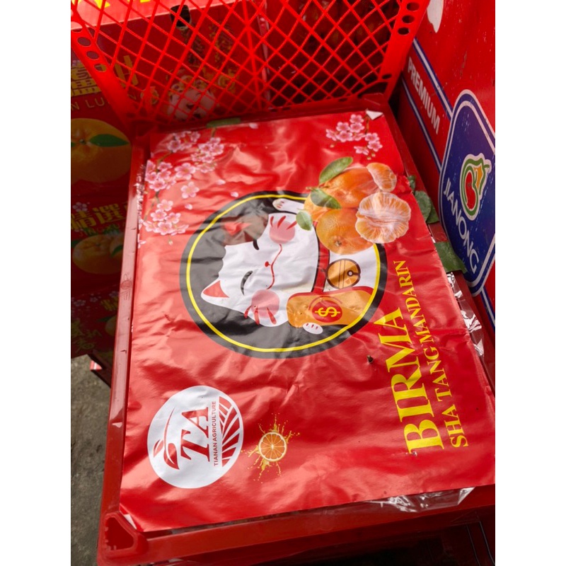 BUAH JERUK SANTANG MADU BIRMA MANIS FRESH 500GR