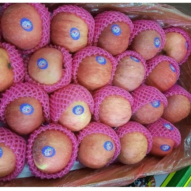 

Apel Fuji Murah 1kg/isi 6-8 biji