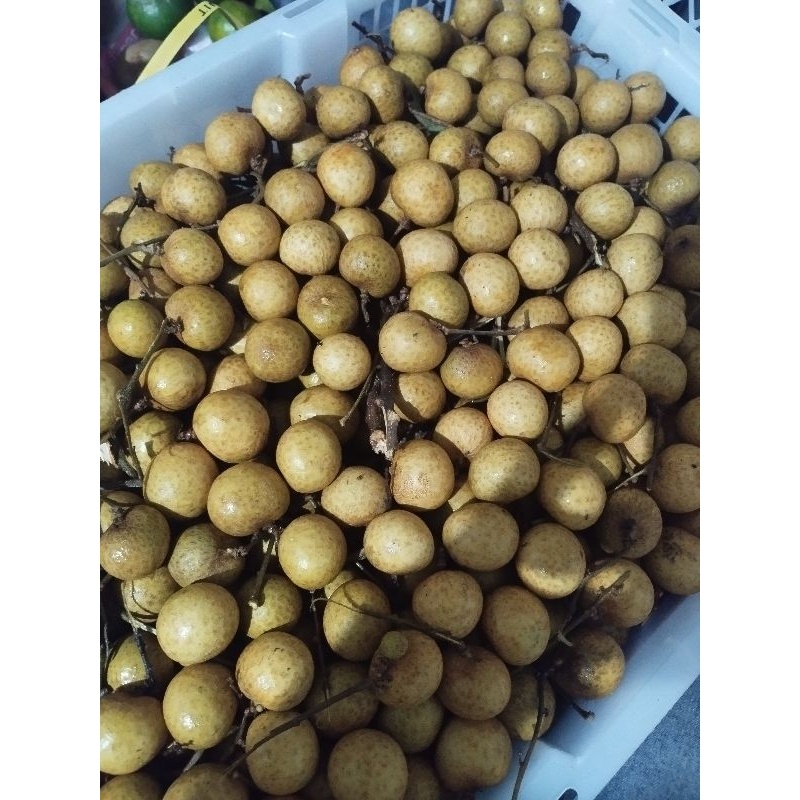 

500 Gram Lengkeng Besar( tanpa tangkai)