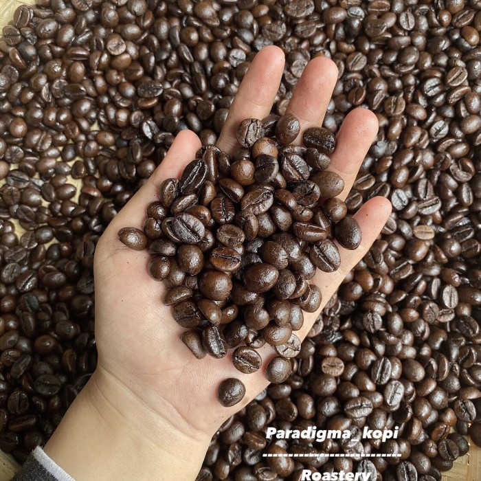 

JH8 1kg biji kopi robusta roasting (biji besar)