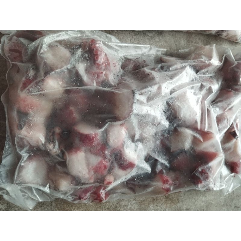 

Tako gurita octopus 1 kg