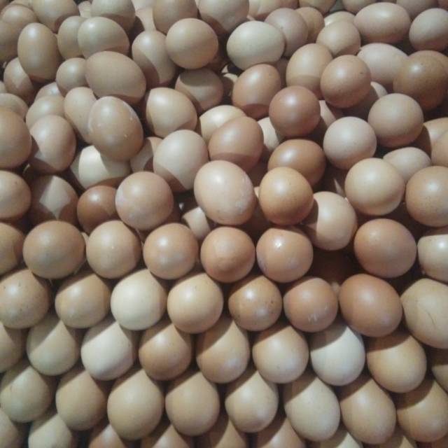 

Telur Ayam Negri Lokal Segar GRADE A per KG