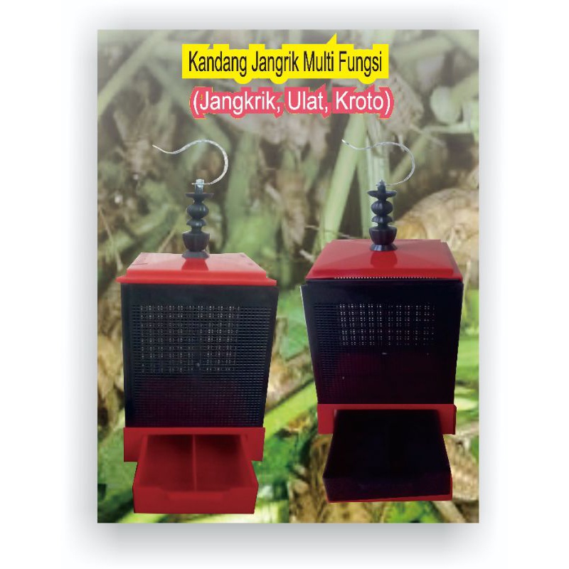 Ready Kandang multifungsi Jangkrik, Ulat dan Kroto