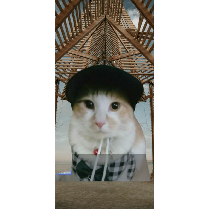 Ready topi kucing dan anjing/ aksesoris hewan kucing dan anjing/ topi hewan periharaan