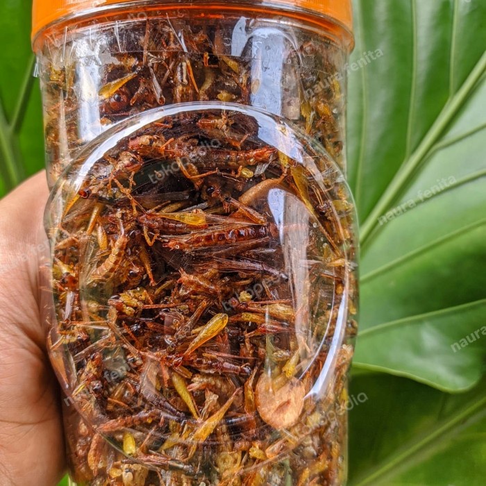 

..... Belalang Goreng Kemasan Toples Sonice 50Rb An