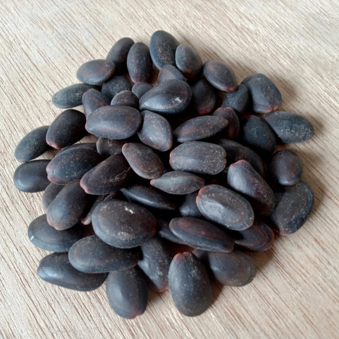 

(Good) Biji Kedawung 1kg Kedaung Kwalitas Premium