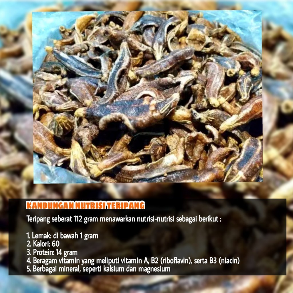 Beauty Kerupuk Teripang Goreng 250Gr Khas Sidayu Gresik Timun Laut Teripang Hitam Asli Vema Beauty
