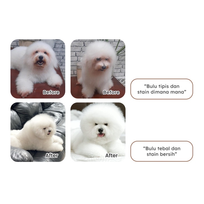 

Real Meat Mexican Ground Beef