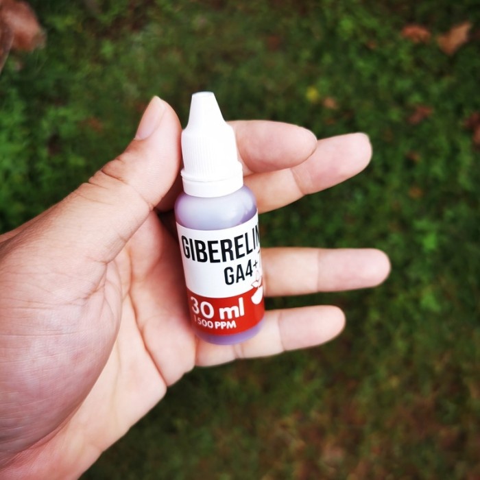 Hormon Tanaman GA4+7 Giberelin 30ml Pembesar Buah dan Dorman Breaker