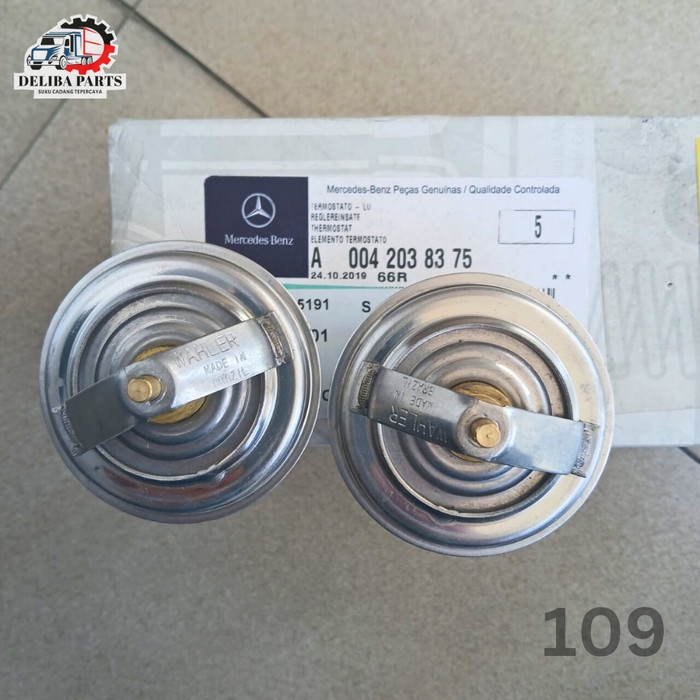 Thermostat Radiator, Mercy Axor 1623, 2523, 2528, 4028, 4928, Mitsubishi Fuso Fz P/N: