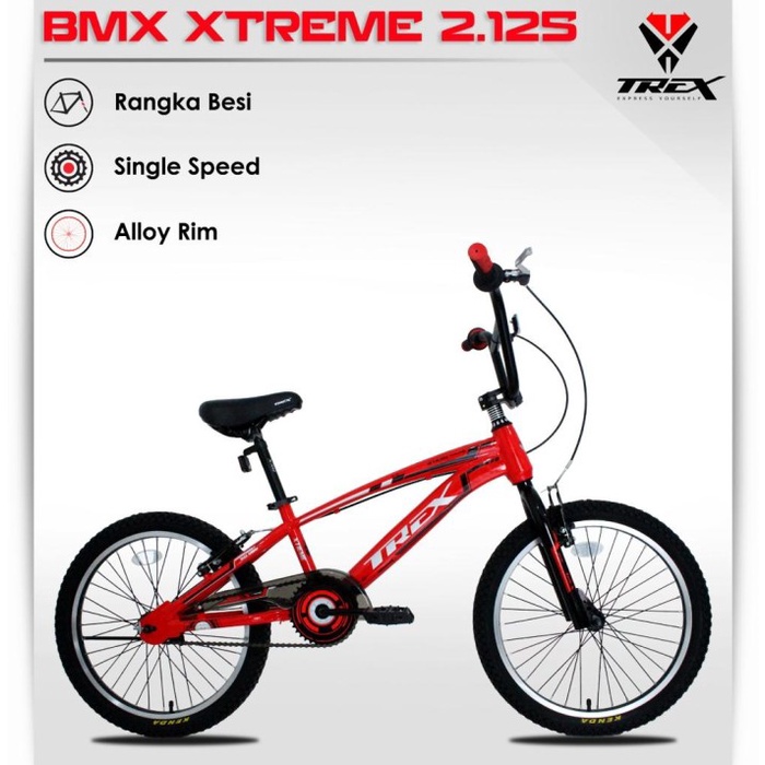 Sepeda Anak - Sepeda BMX Trex Xtreme 20" Ukuran Ban 2.125 Kode 458