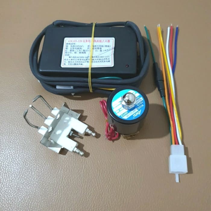 Set Igniter Pemantik Oven Roasting Deep Fryer 220VAC