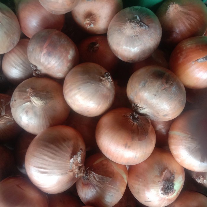 

bawang Bombay 10 kg UK 60 85