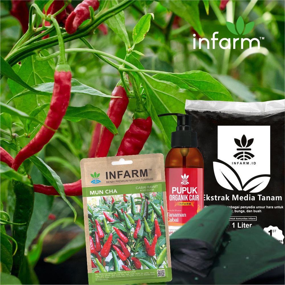 {{ INFARM - Paket Minigarden Cabai Berkebun Siap Tanam POC Cabai Media Tanam Polybag dan Benih