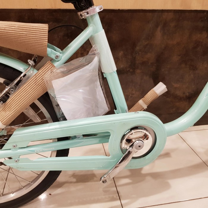 TERUJI sepeda city anak polygon coastal 20 inch keranjang 2021