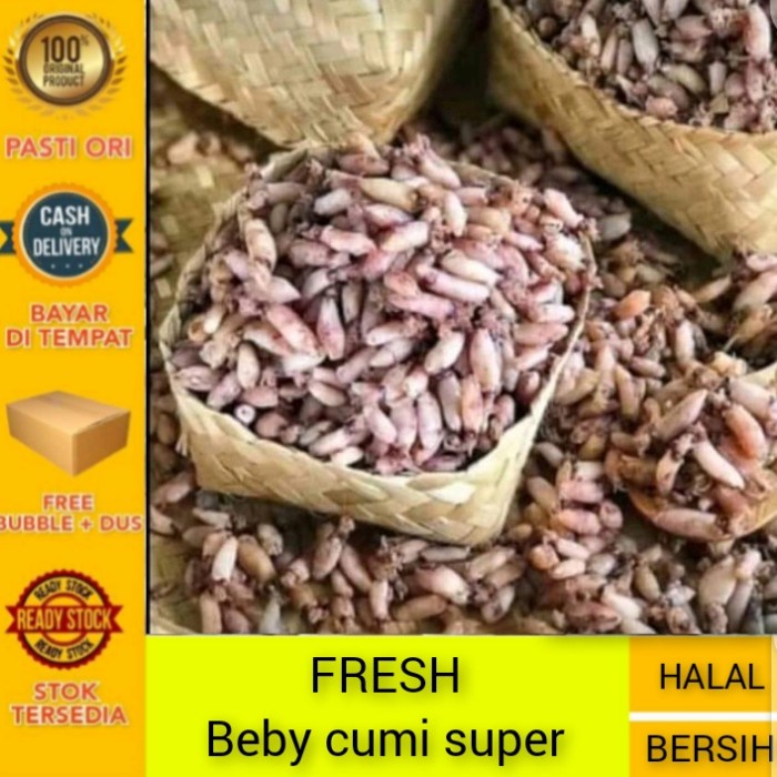 

baby cumi asin fresh - 100grm KHR
