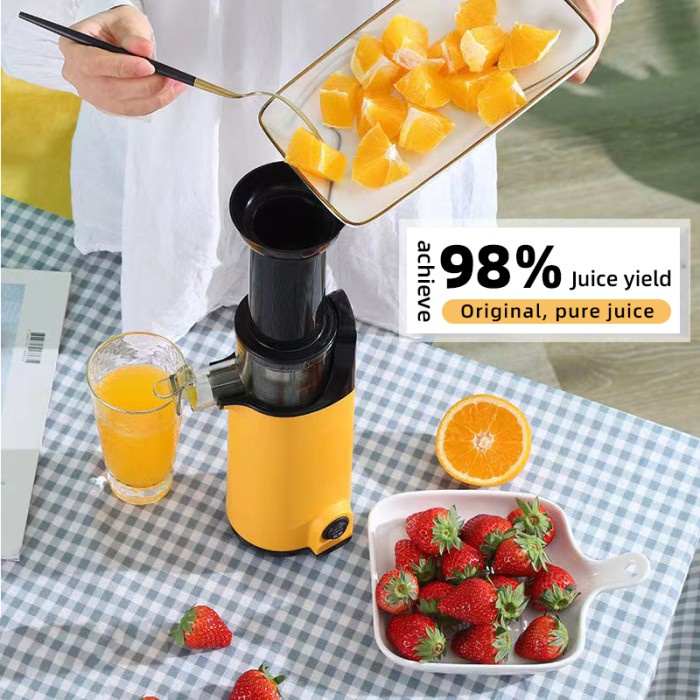 Portable Blender Slow Juicer Portable Blender Fruit Vegetable