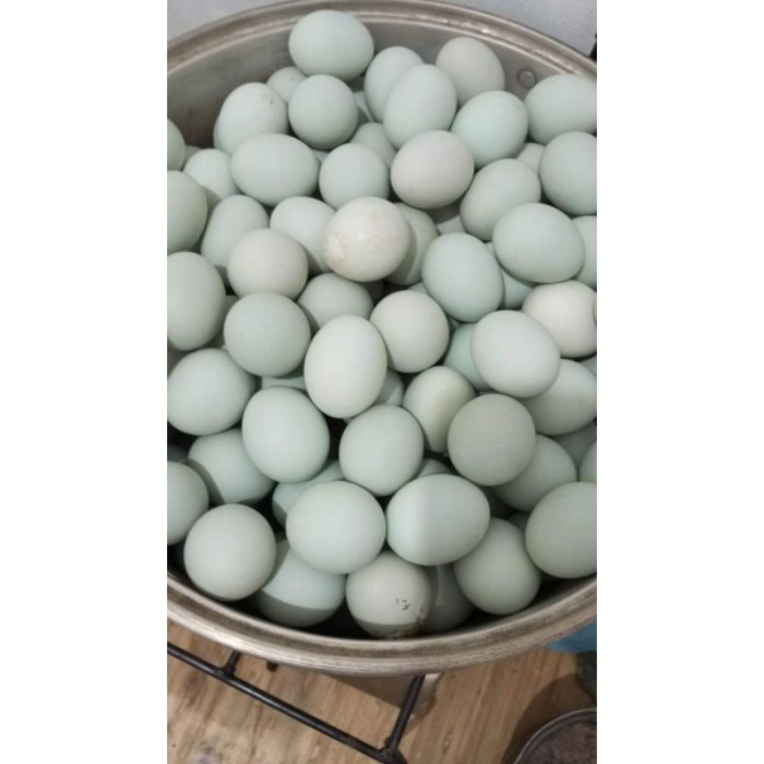 

(BestSeller) Telur asin Brebes isi 10 sudah matang enak dan Bergizi