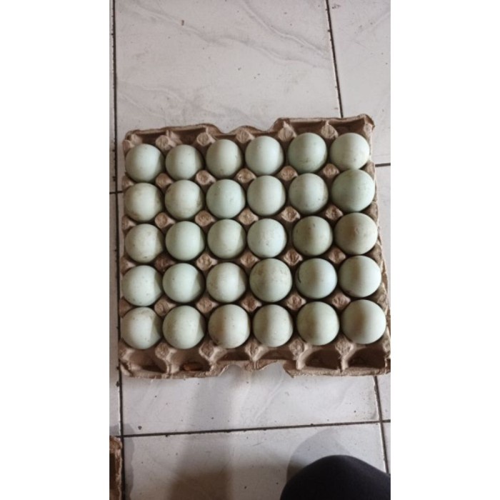 

(BestSeller) Telur Bebek Mentah Organik 1 tray 30 butir