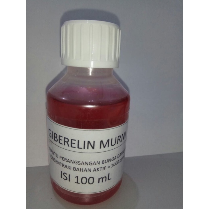 HORMON TANAMAN GIBERELIN