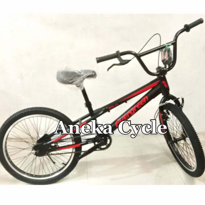 Sepeda Anak Dewasa Bmx Evergreen F3 Rotor Torpedo 20 #Gratisongkir