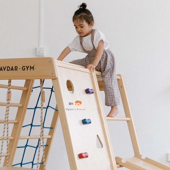 AVDAR Rock Climber Activity Gym set indoor outdoor