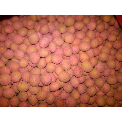 

Promo Benih / Bibit - Kacang Edamame Kedelai Jepang 250Gr, Sekitar 625 Biji Tbk