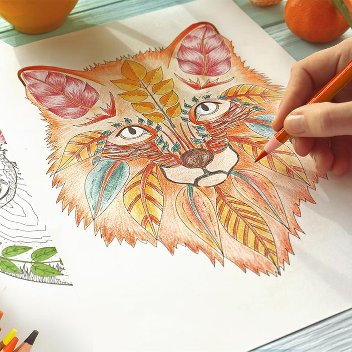 

Terlaris Deli High-Grade Oil Color Pencil 6567/6568 - Pensil Warna Minyak Premium 24/36/48/72 Warna,