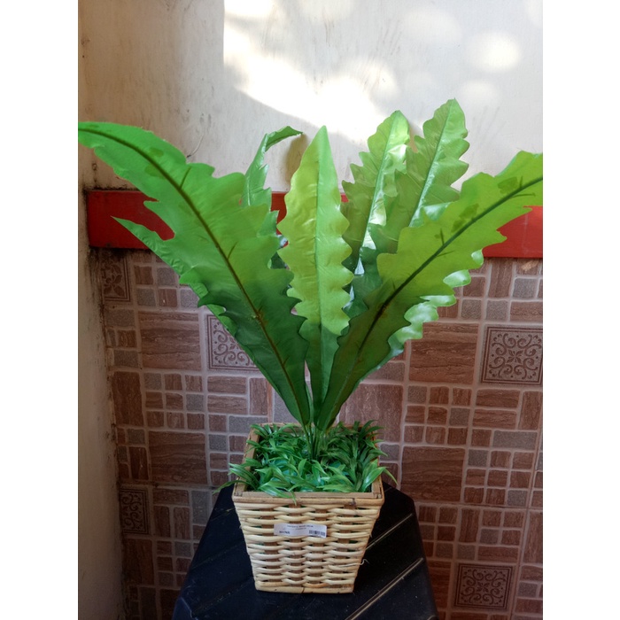 PREMIUM artificial daun gelombang cinta +pot bakul rotan anyam