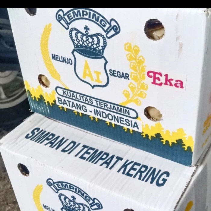 

emping melinjo mentah 1 Dus isi 5 kg