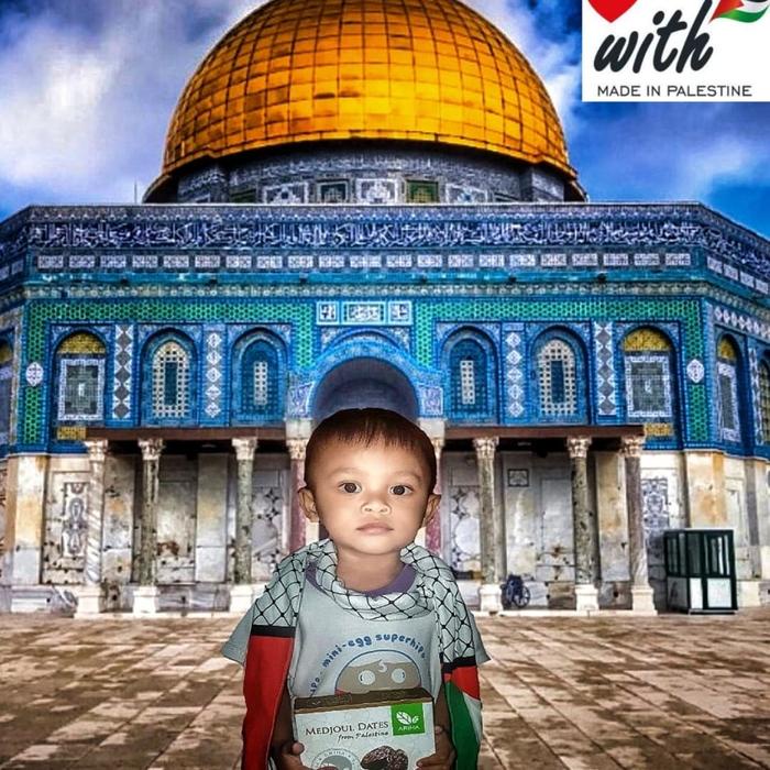 

Kurma Medjoul Super Jumbo Grade A Ariha Palestina ( Medjol Medjool )