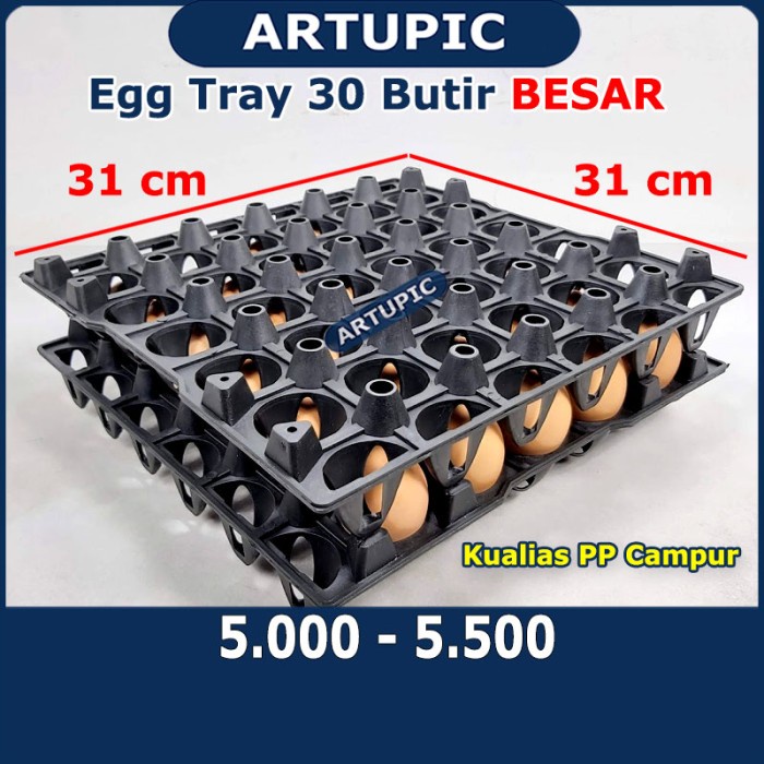 Egg Tray Telur 30 Butir HITAM Ayam Bebek Rak Tempat Tray Telur Plastik *