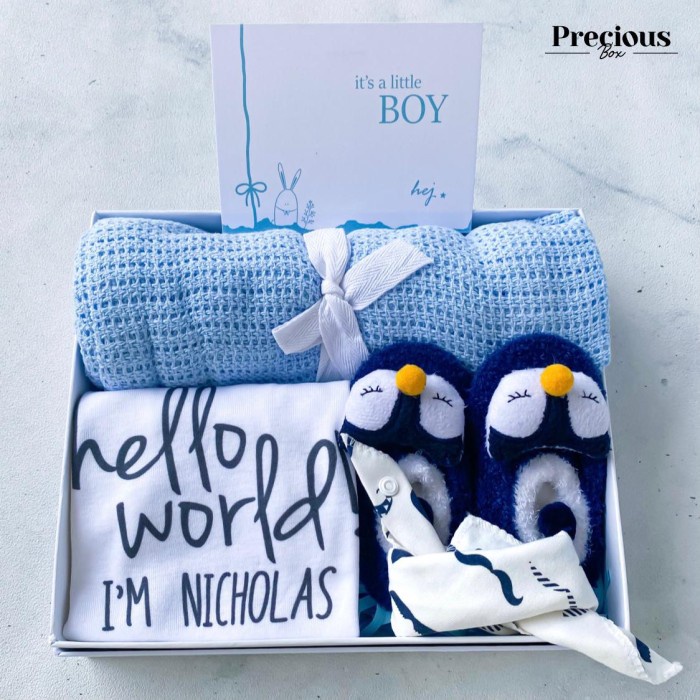GIFT NEWBORN BABY BOY HAMPERS BAYI HAMPERS BABY BOY PREMIUM