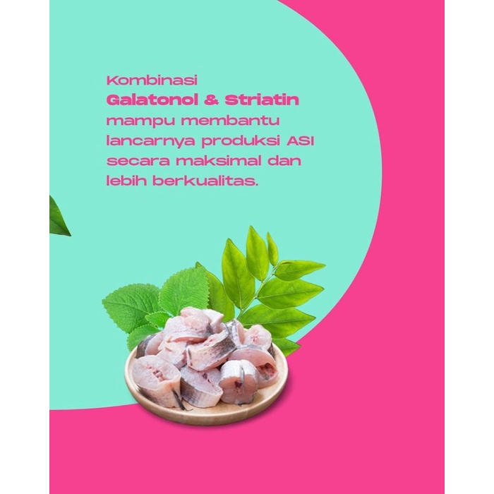 Ready- Herba Asimor 30 Kaplet Asi