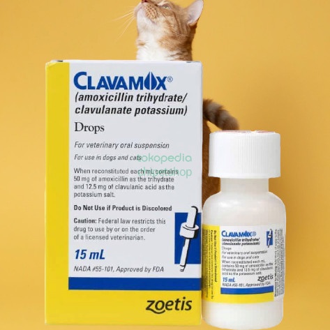 Clavamox Drops Oral Suspension Antibiotik Kucing Anjing 15Ml