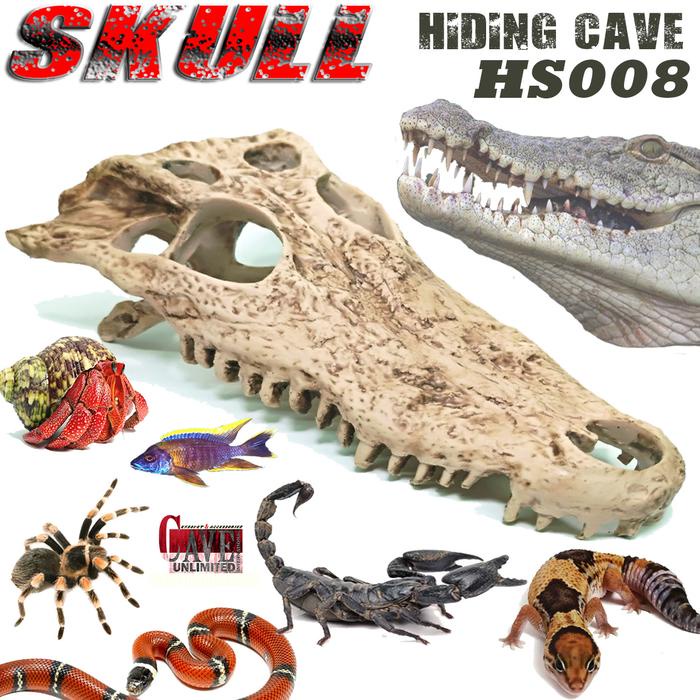 PREMIUM HS008 HIDINGCAVE SKULL CROCODILE TENGKORAK KEPALA BUAYA GOA TEMPAT SEMBUNYI HIASAN KANDANG