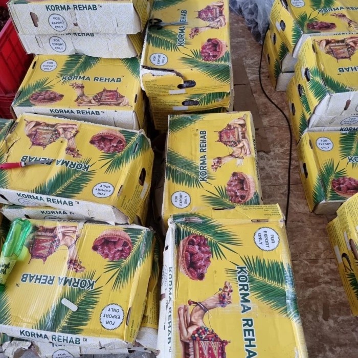 

Lezat- TERMURAH 1 dus 10kg Kurma Golden Valley Kurma Mesir